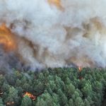 Evacuations, train lines and motorway disrupted over wildfires near Paris