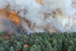 Evacuations, train lines and motorway disrupted over wildfires near Paris