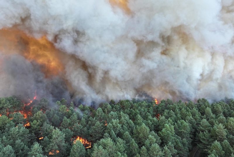 Evacuations, train lines and motorway disrupted over wildfires near Paris 1 Evacuations, train lines and motorway disrupted over wildfires near Paris
